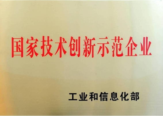 國家技術(shù)創(chuàng)新示范企業(yè)